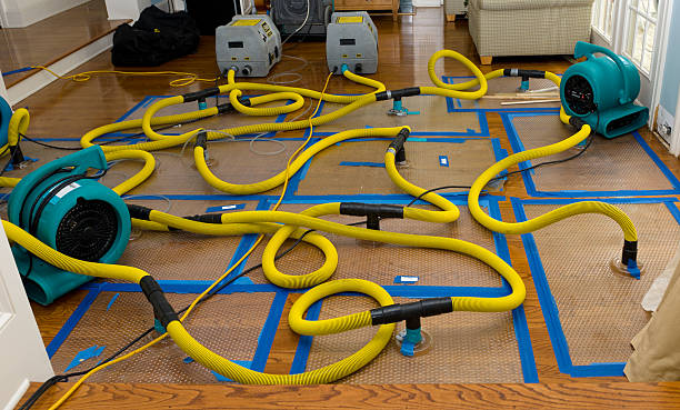 Professional Crawl Space Water Removal technician working in Monticello, IA